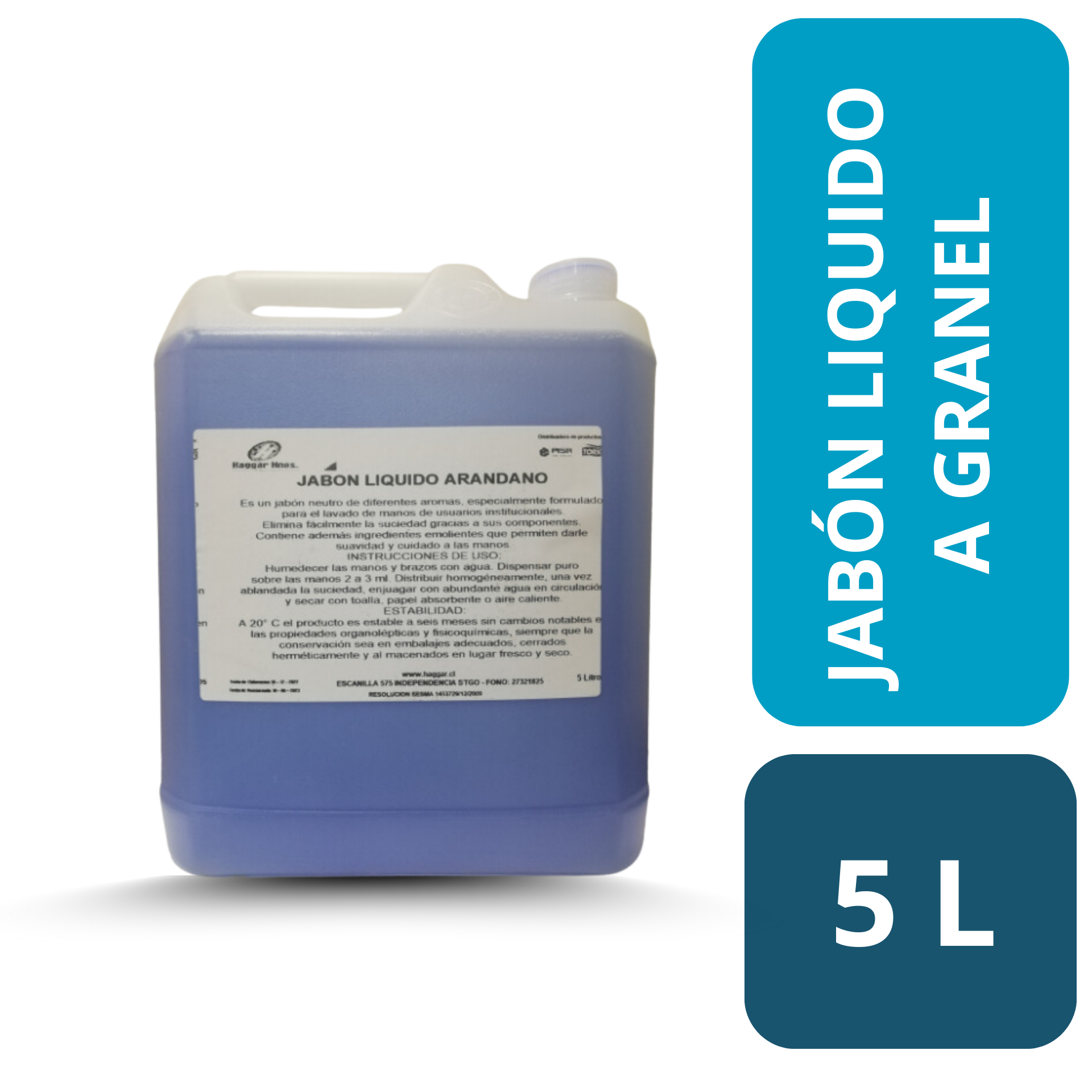JABON A GRANEL ARANDANO 5 Lts.(WINTER CLEAN)