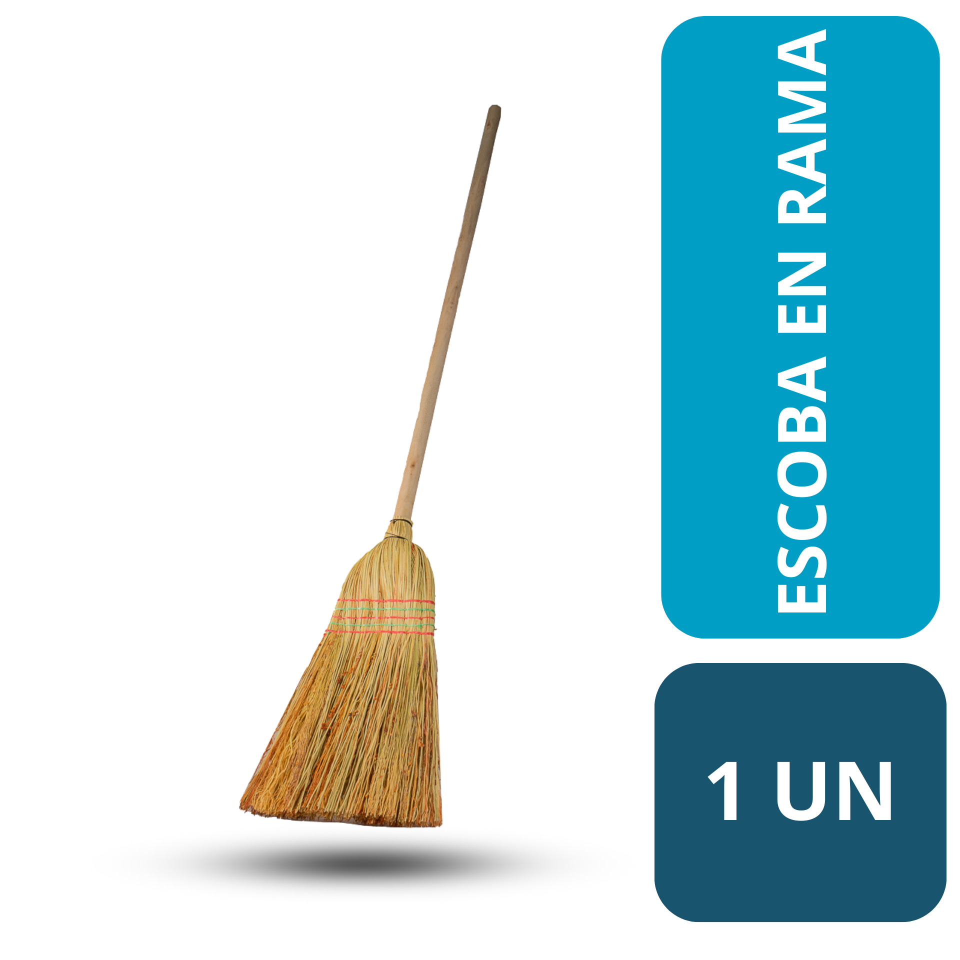ESCOBA EN RAMA